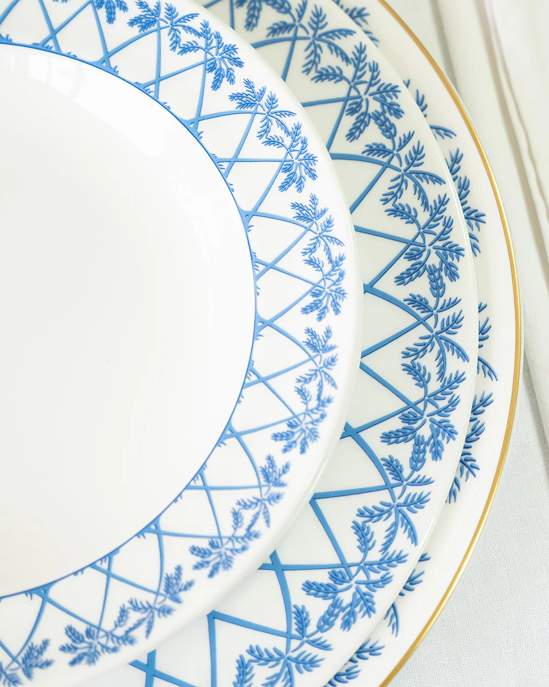Fine Bone China 4 Rimmed Bowls PALMS - Image 7