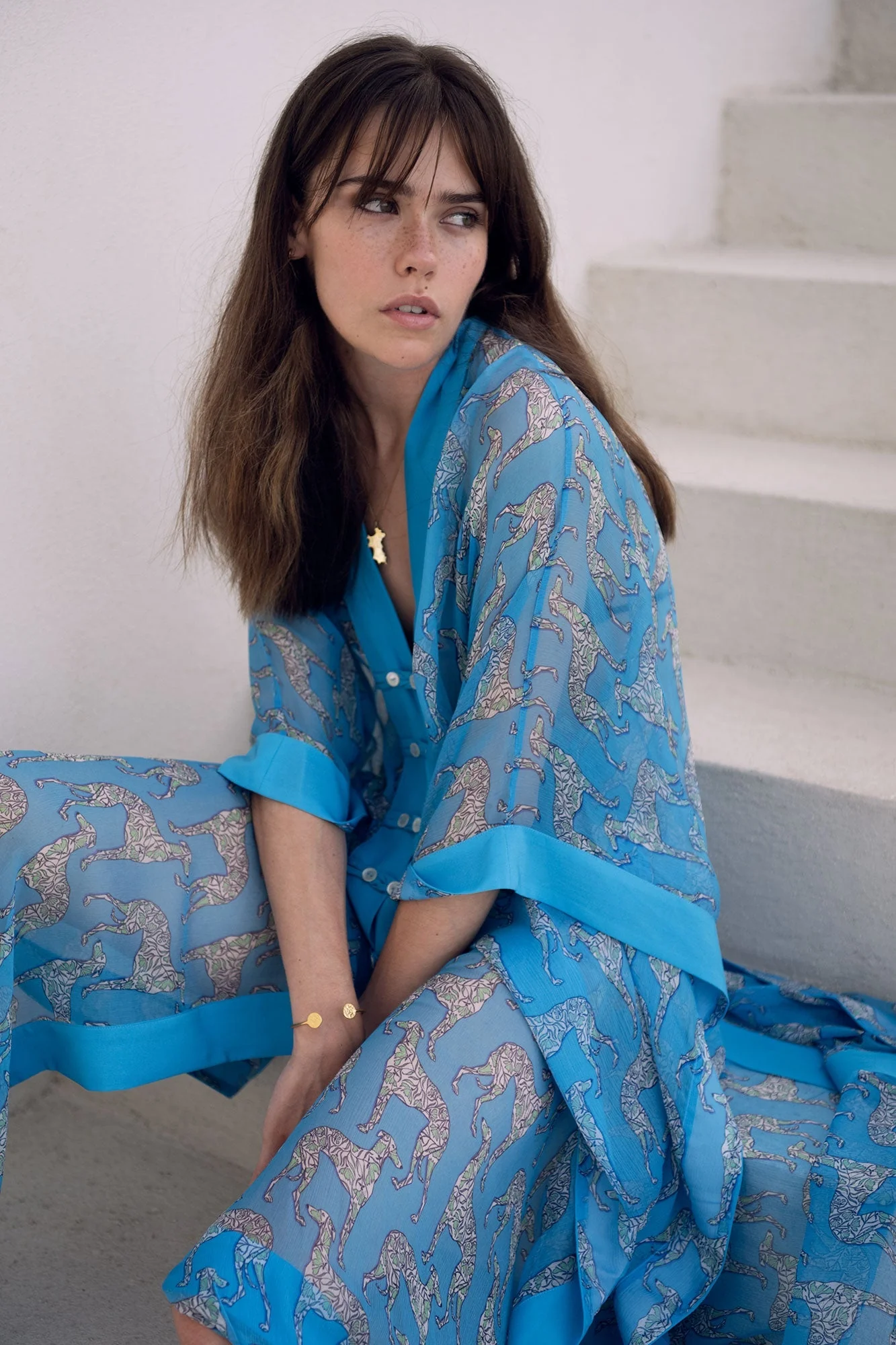 Silk Chiffon Long Jade Poncho LURCHER - Image 4