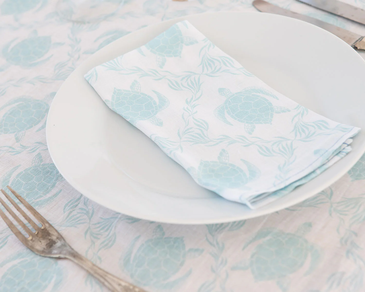 Lotty B Tablecloth & Napkin set: TURTLE TRELLIS - AQUA - Image 3