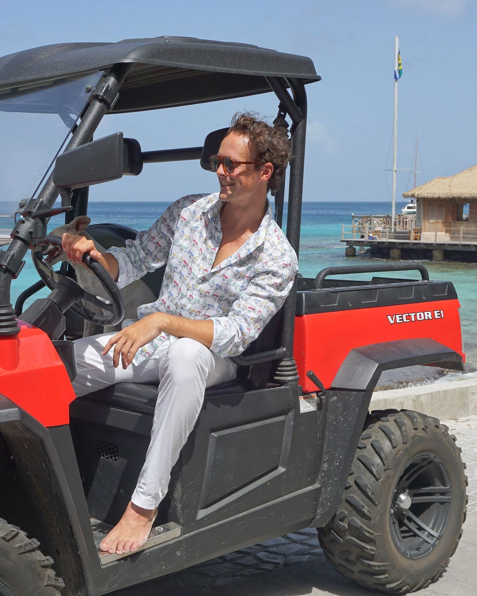 Linen Shirt  MUSTIQUE MULE - Image 3