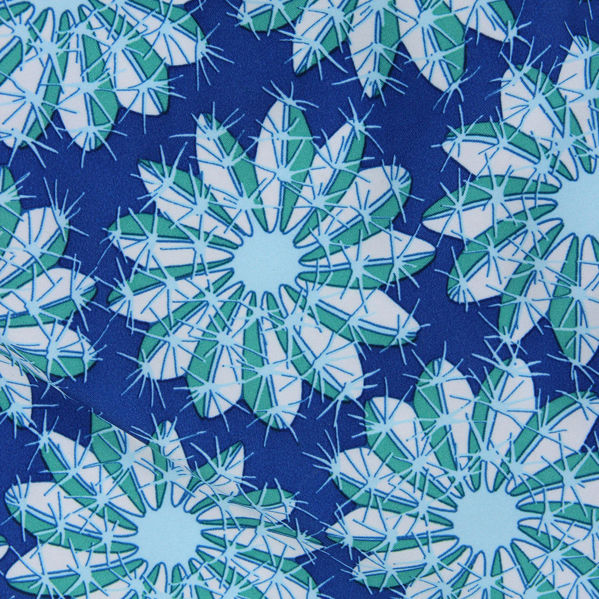 Swim Shorts CACTUS - Image 6