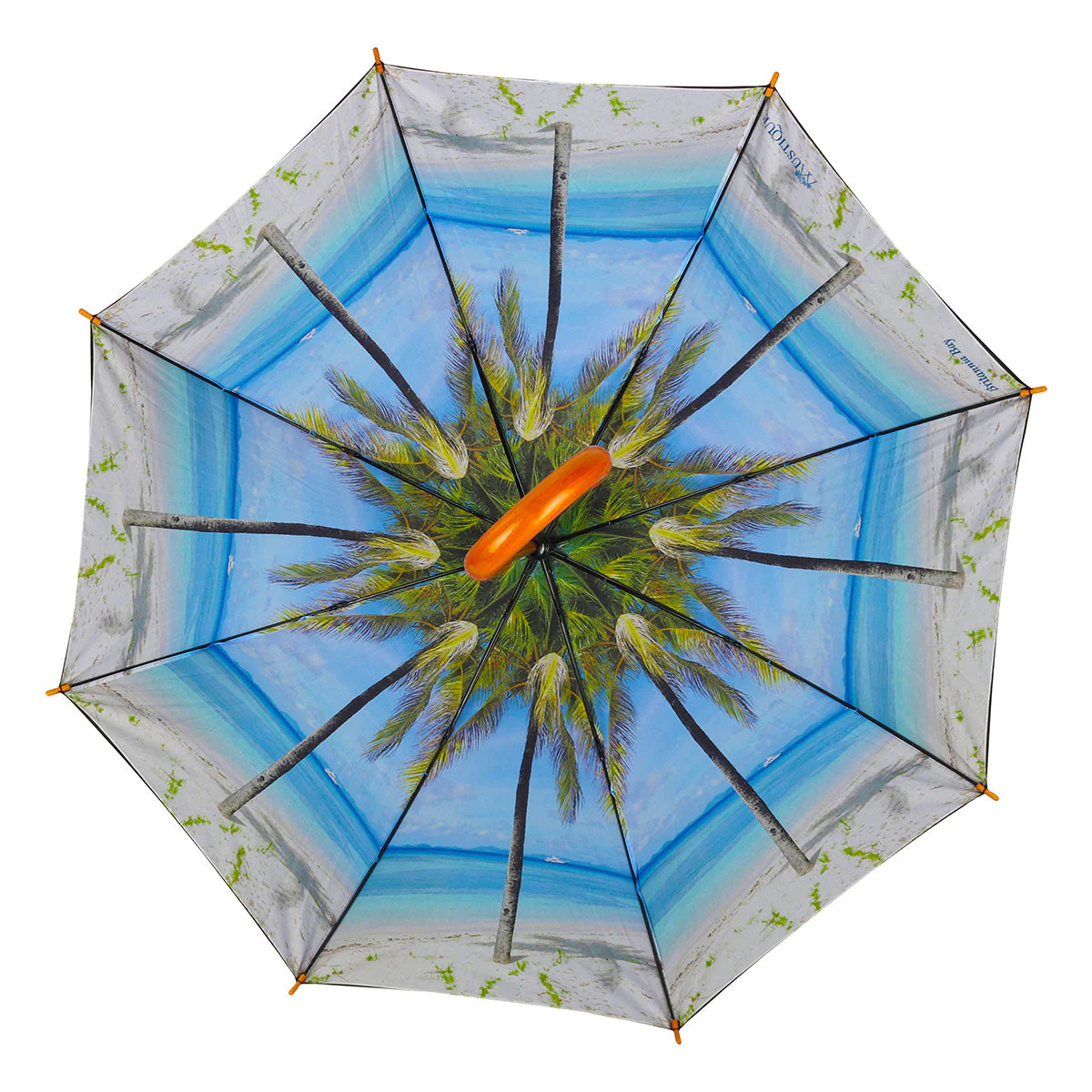Umbrella PALM - Image 8